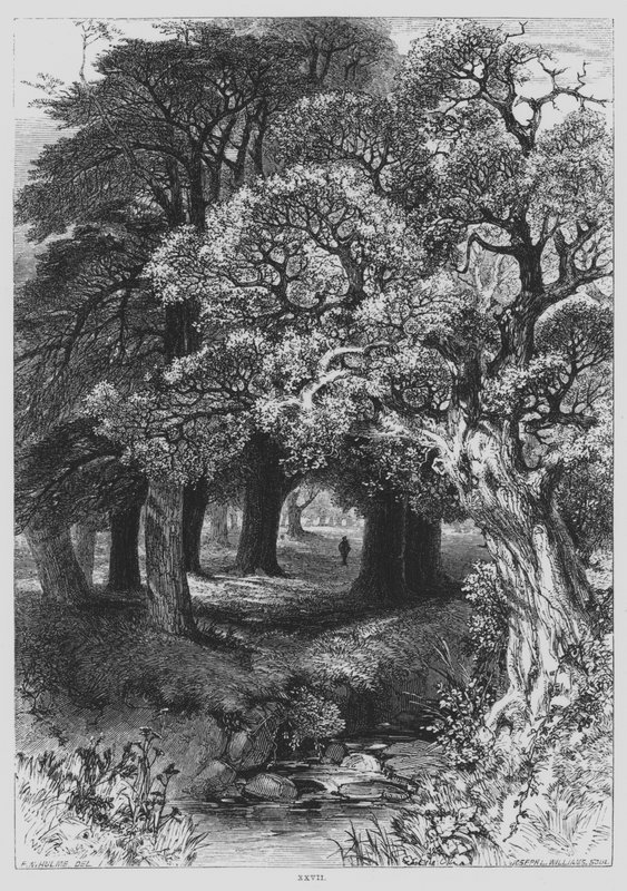 John Milton, Il Penseroso (gravyr) av Frederick William Hulme