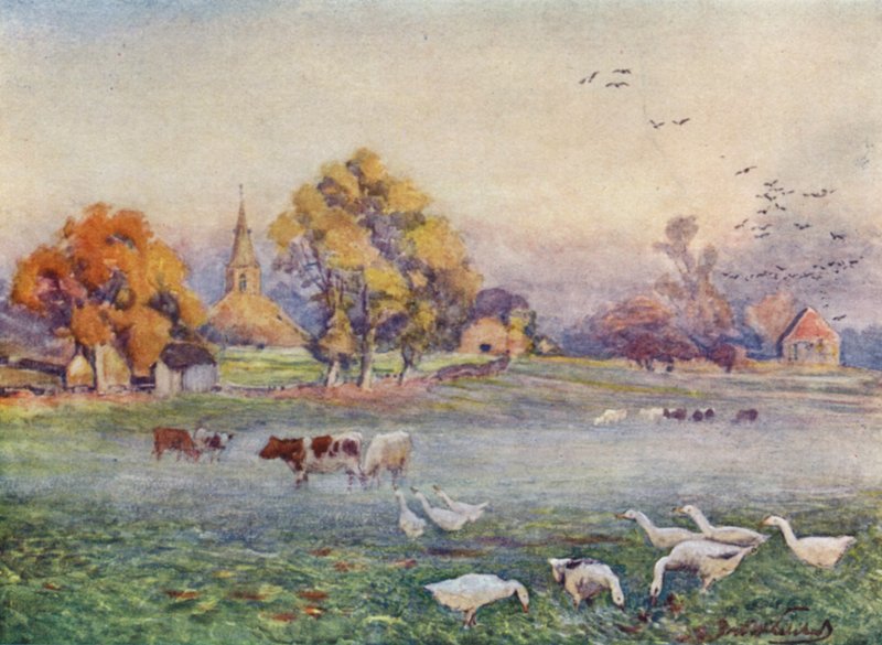 Abbey Fields, Kenilworth av Frederick William Newton Whitehead