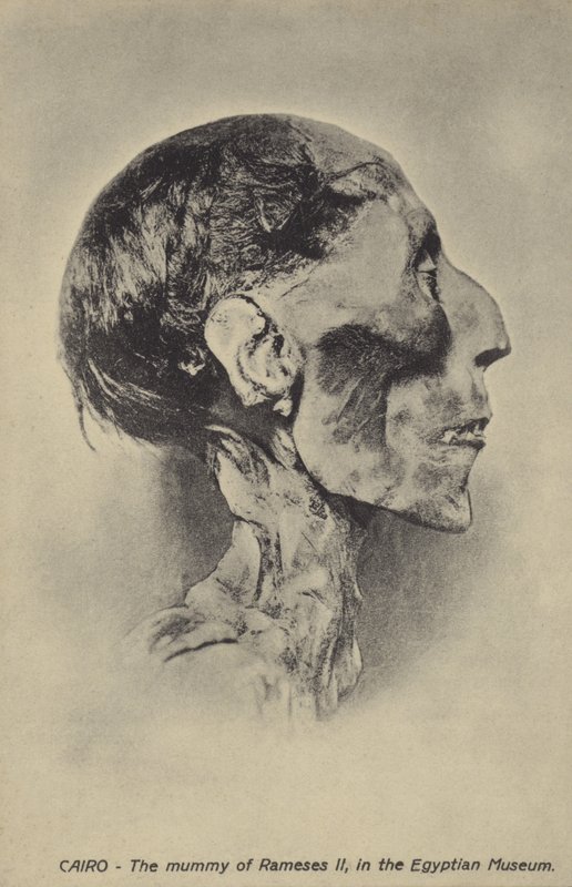 Mamma av Ramses II av French Photographer