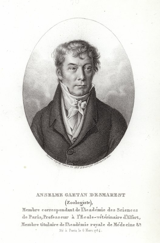 Anselme Gaetan Desmarest av French School
