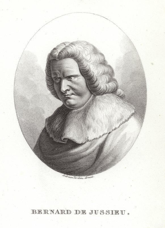 Bernard de Jussieu av French School