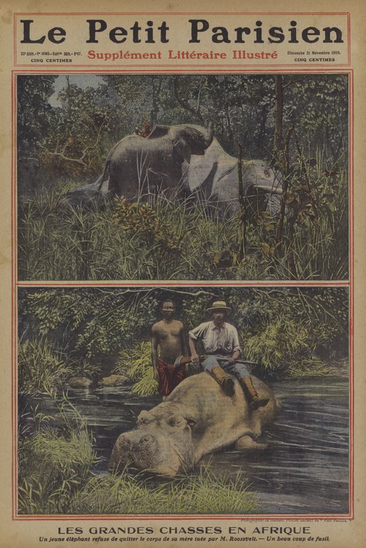Storviltsjakt i Afrika (färg litho) av French School