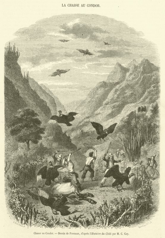 Condor Hunt (gravyr) av French School