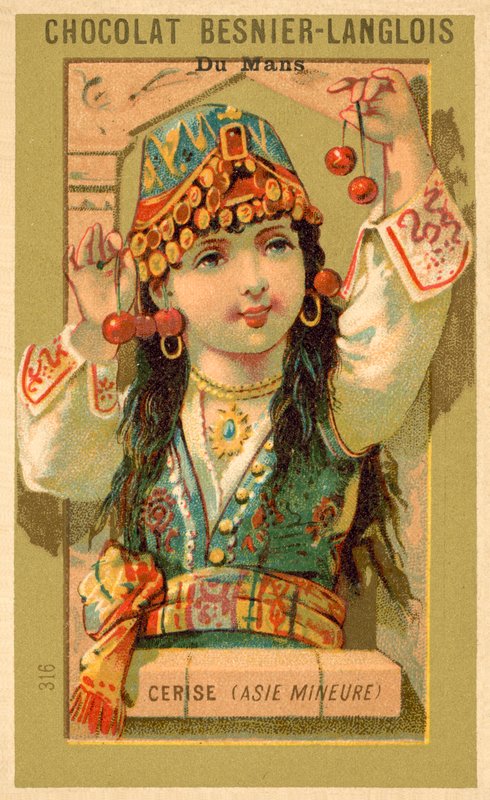 Körsbär från Mindre Asien (chromolitho) av French School