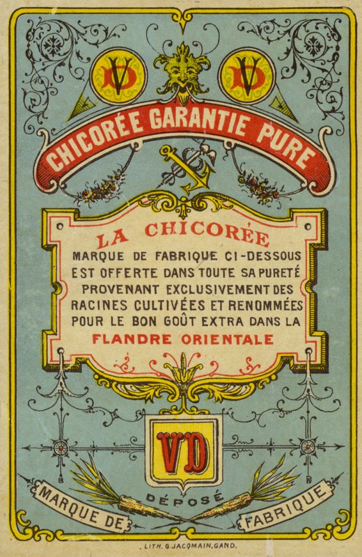 ren garanterad cikoria av French School