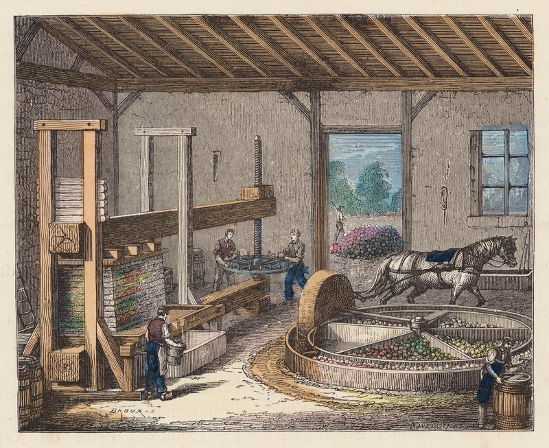 Cidertillverkning (färgad gravyr) av French School