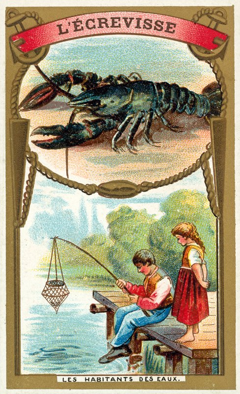 Kräftor (chromolitho) av French School