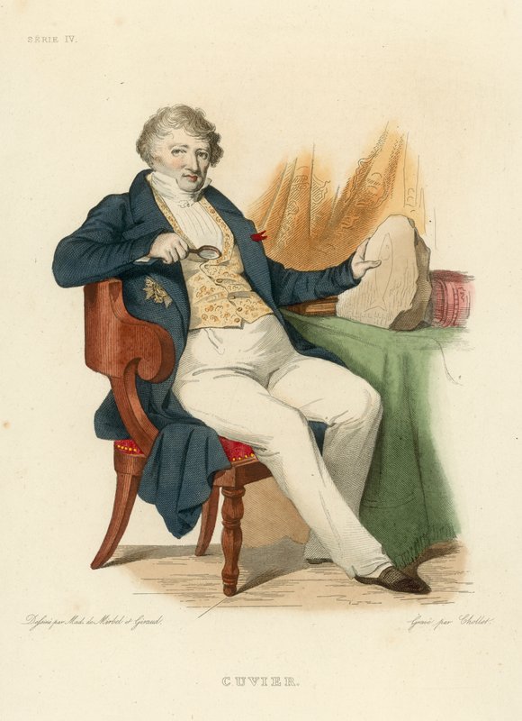 Cuvier (färgad gravyr) av French School