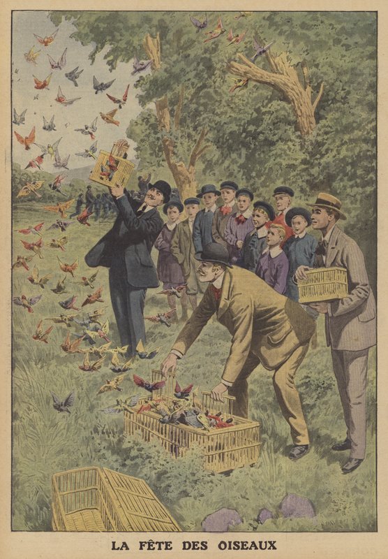 Fågelfestival i Belgien (färg litho) av French School