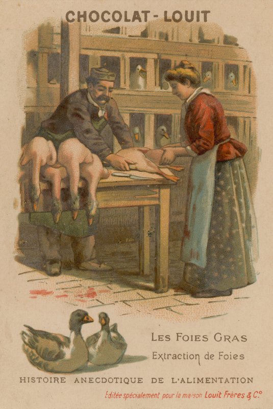 Foie gras av French School