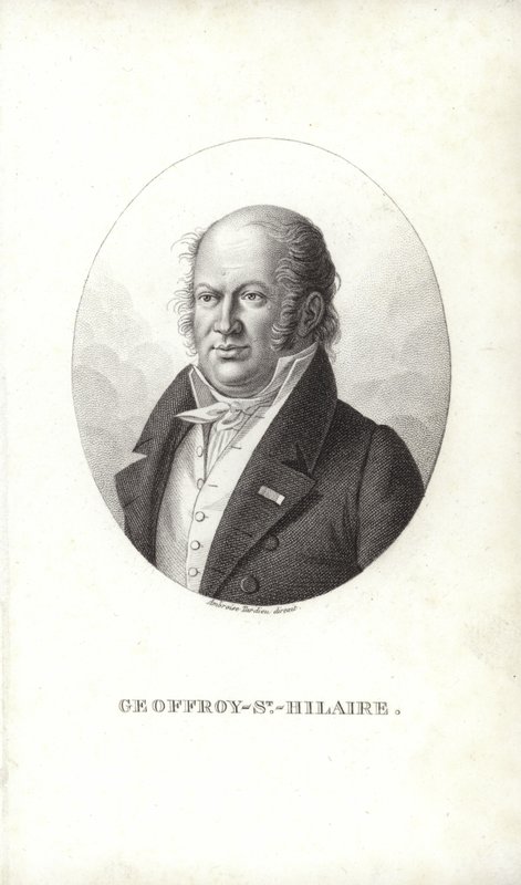 Geoffroy Saint-Hilaire av French School