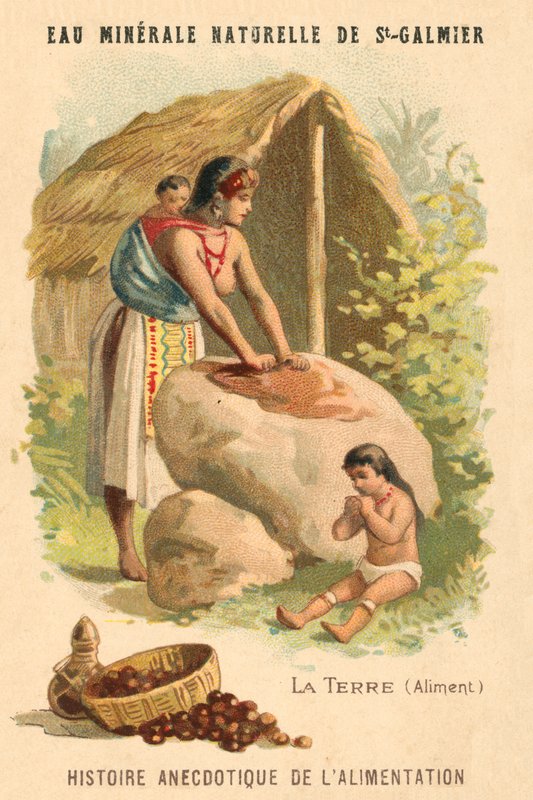 Malnötter (chromolitho) av French School