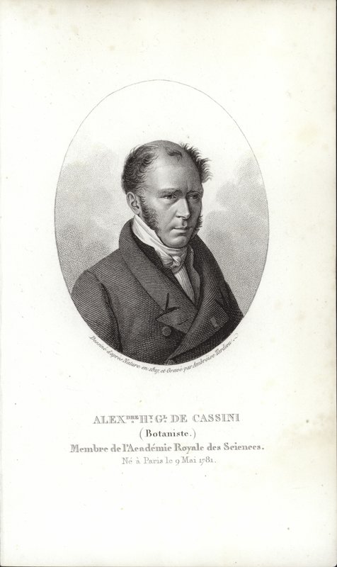 Henry Cassini av French School