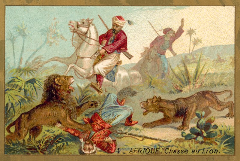 Jaga lejon i Afrika (chromolitho) av French School
