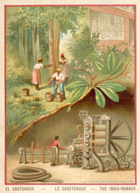 Indien gummi (chromolitho) av French School
