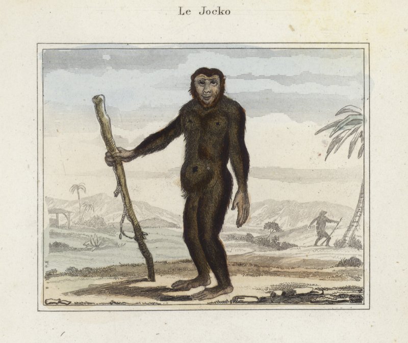Jocko av French School
