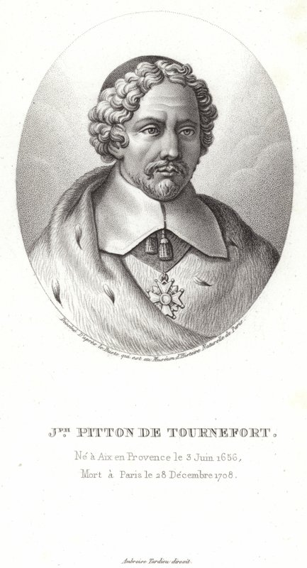 Joseph Pitton de Tournefort av French School