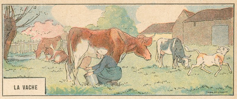 The Cow (färg litho) av French School