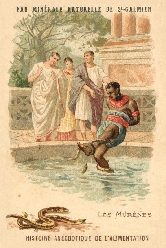 Muränor (chromolitho) av French School