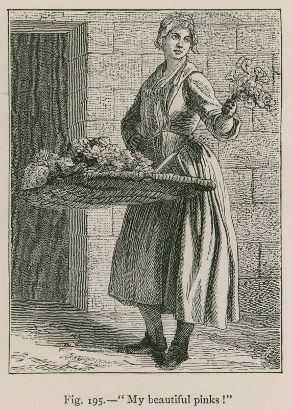 Mina vackra rosa! av French School