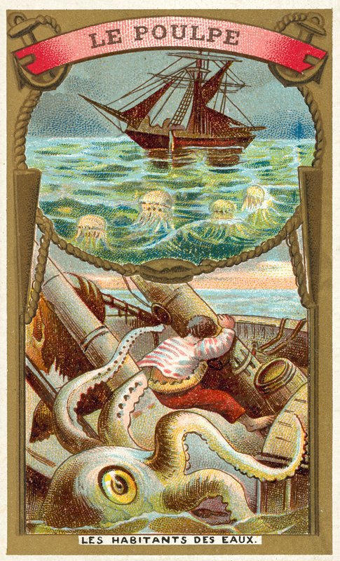 bläckfisk (chromolitho) av French School