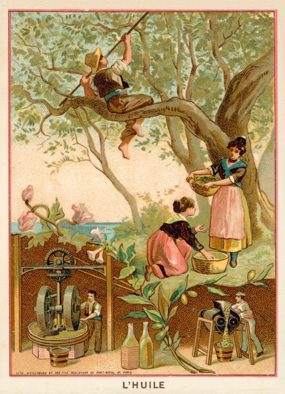 Olivolja av French School