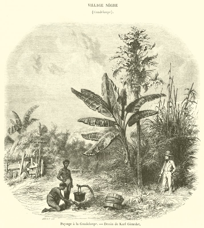 Landskap i Guadeloupe (gravyr) av French School