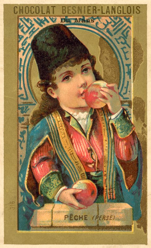 Persikor från Persien (chromolitho) av French School