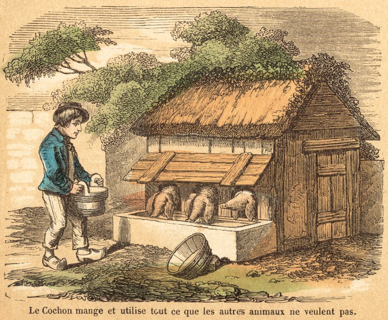 Gris (färgad gravyr) av French School