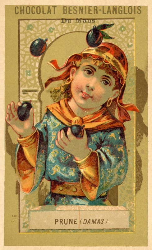 Plommon från Damaskus (chromolitho) av French School