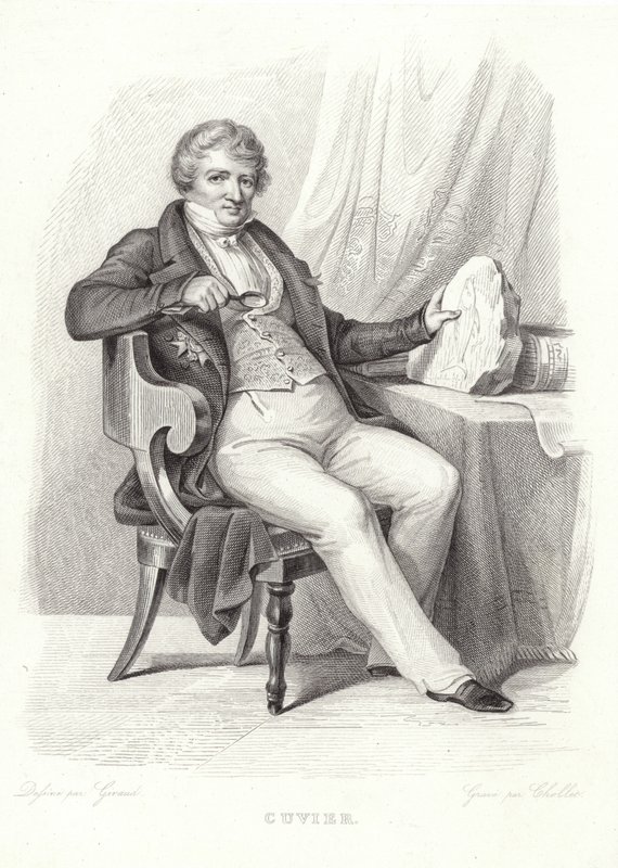 Porträtt av George Cuvier av French School