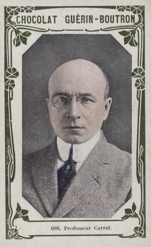Professor Carrel (färgad bild) av French School
