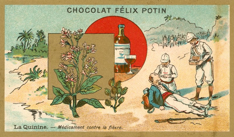 Kinin, medicin mot feber av French School
