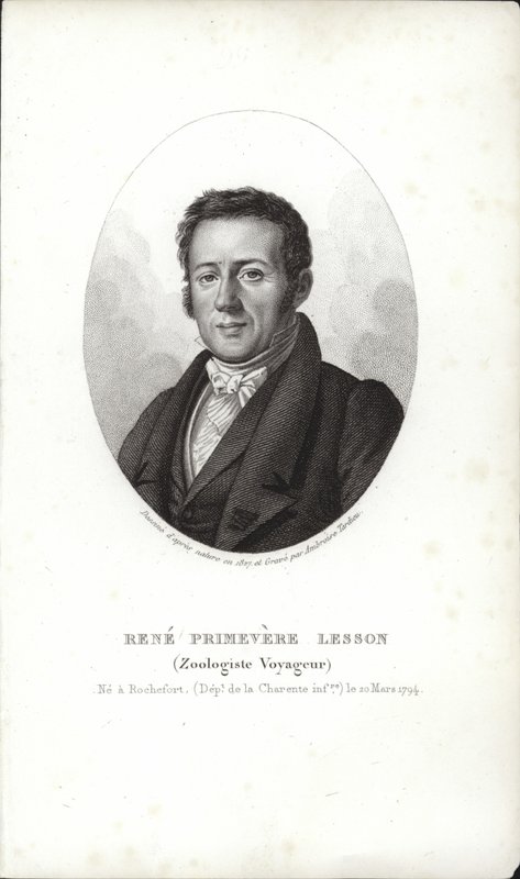 René Primevère Lektion av French School