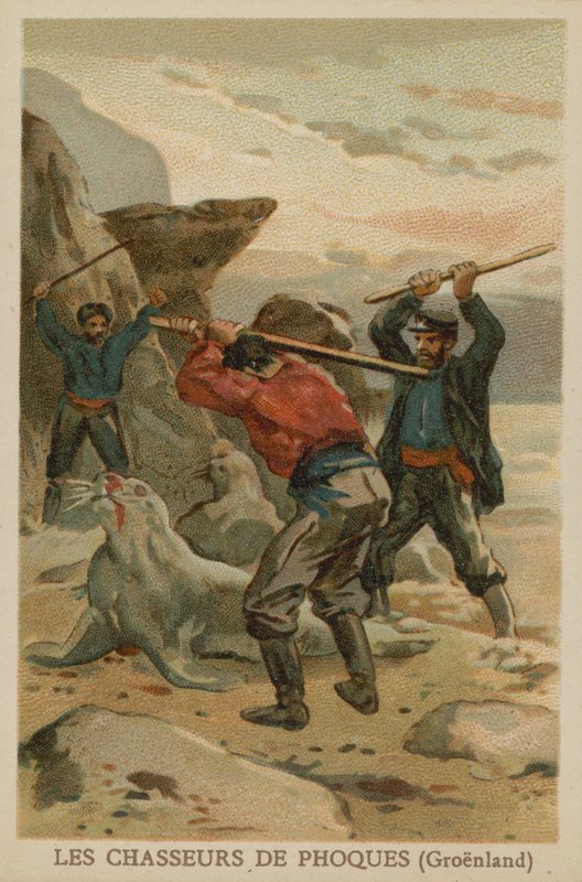 Säljägare (Grönland) av French School