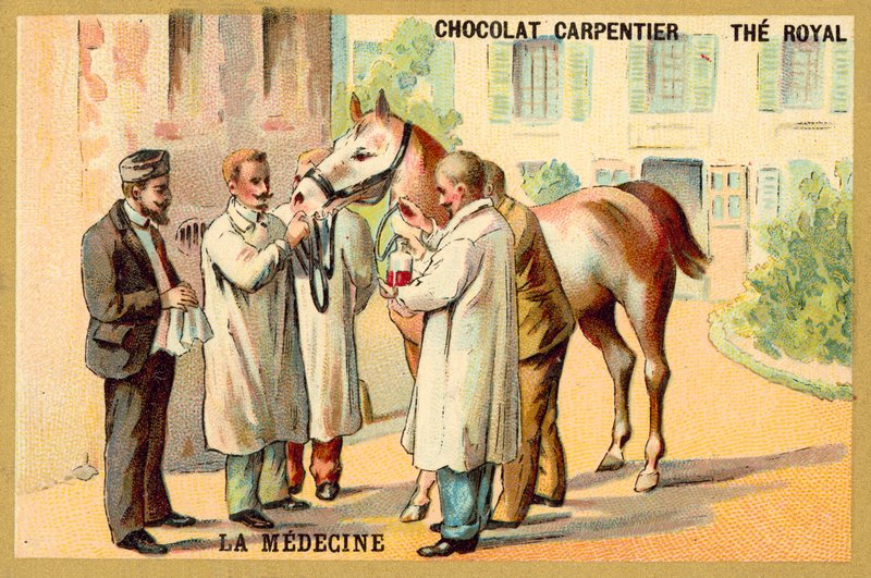 Ta blod från en häst (chromolitho) av French School