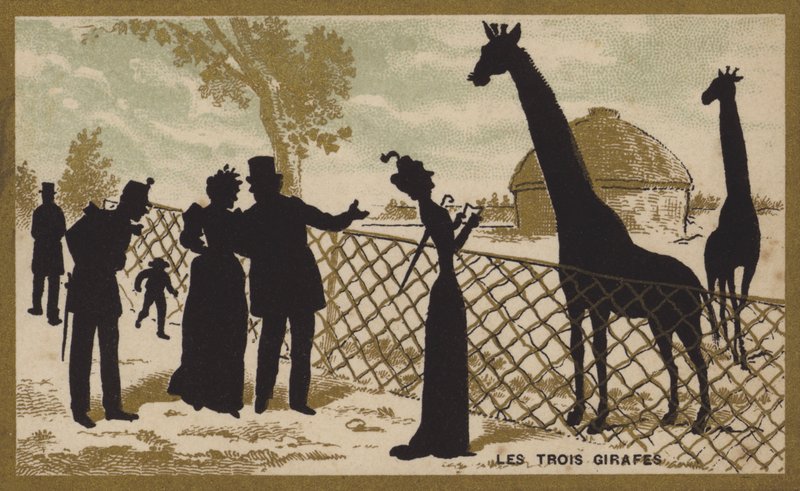 De tre girafferna (chromolitho) av French School