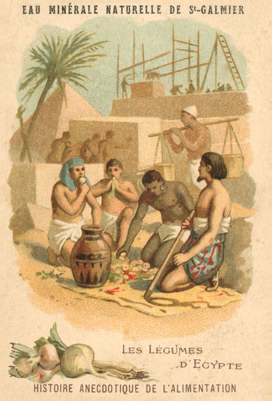 Egyptens grönsaker (chromolitho) av French School