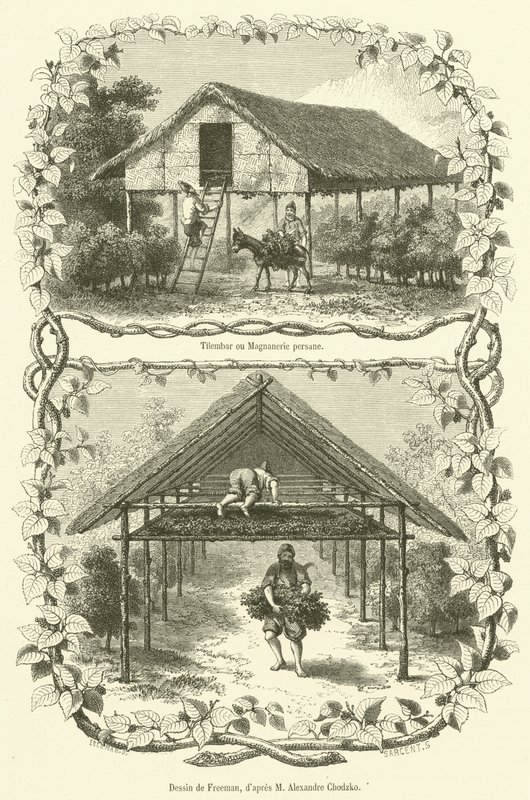 Tilembar eller Persian Magnanerie (gravyr) av French School