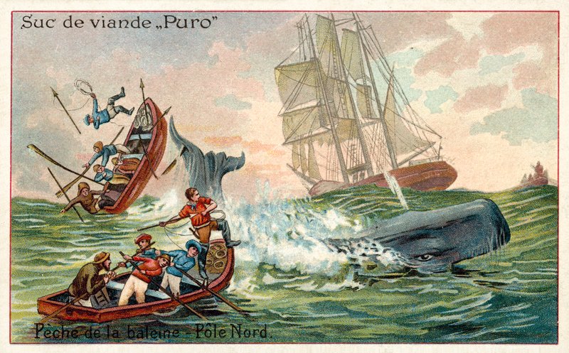 Valfångst i Arktis (chromolitho) av French School
