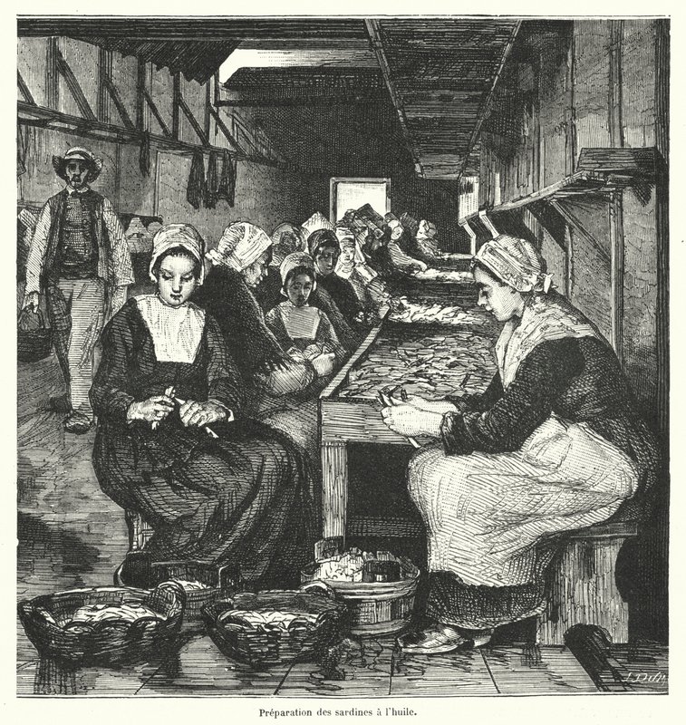 Kvinnor som förbereder sardiner (gravyr) av French School