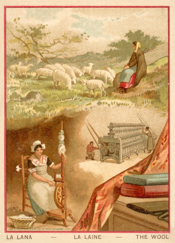 Ull (chromolitho) av French School