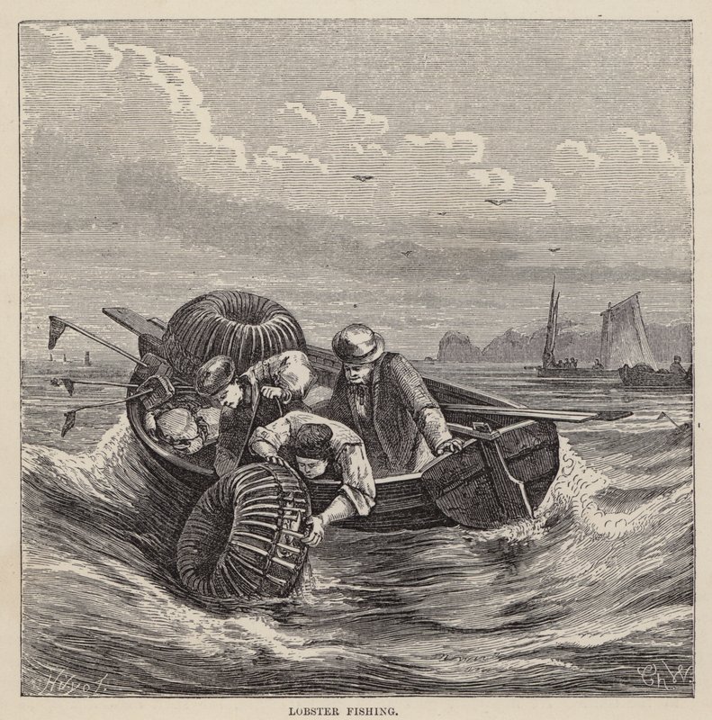 Hummerfiske (färgad gravyr) av Friedrich Specht