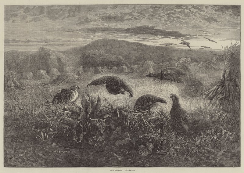 Månaderna, september av George Bouverie Goddard