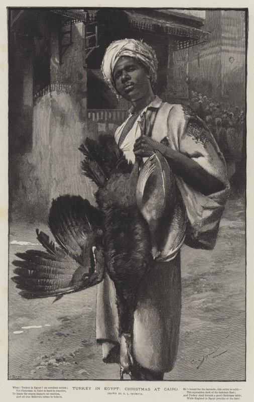 Turkiet i Egypten, jul i Kairo av George L. Seymour