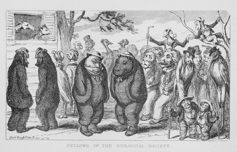 Fellows of the Zoological Society (gravyr) av George Cruikshank