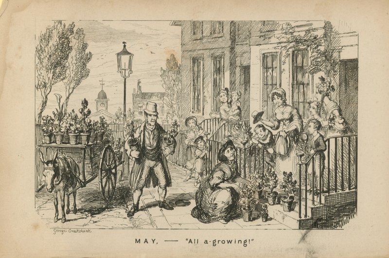 Maj - allt växer av George Cruikshank