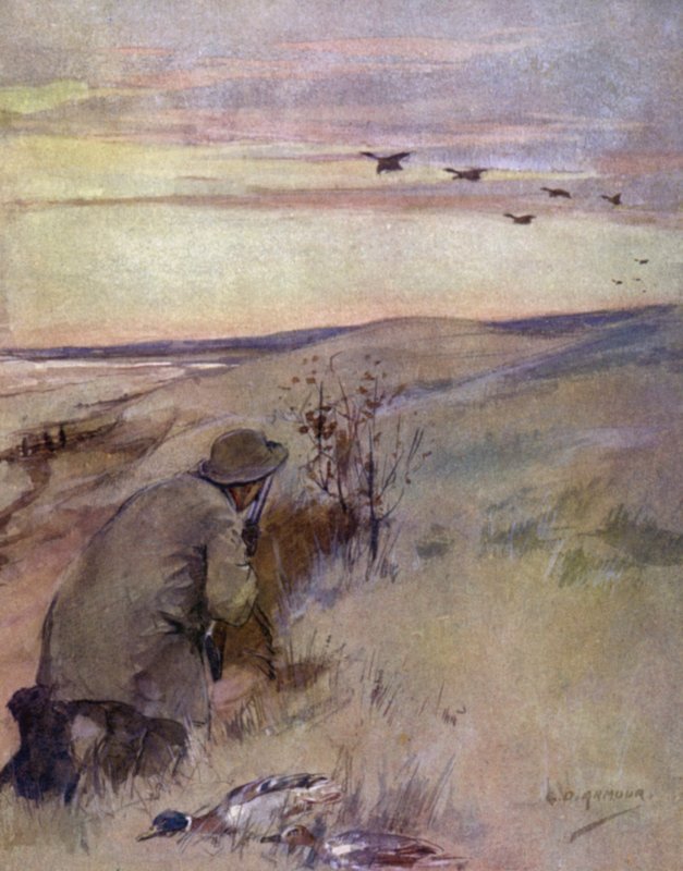 Vild fågel: flygande (färg litho) av George Denholm Armour