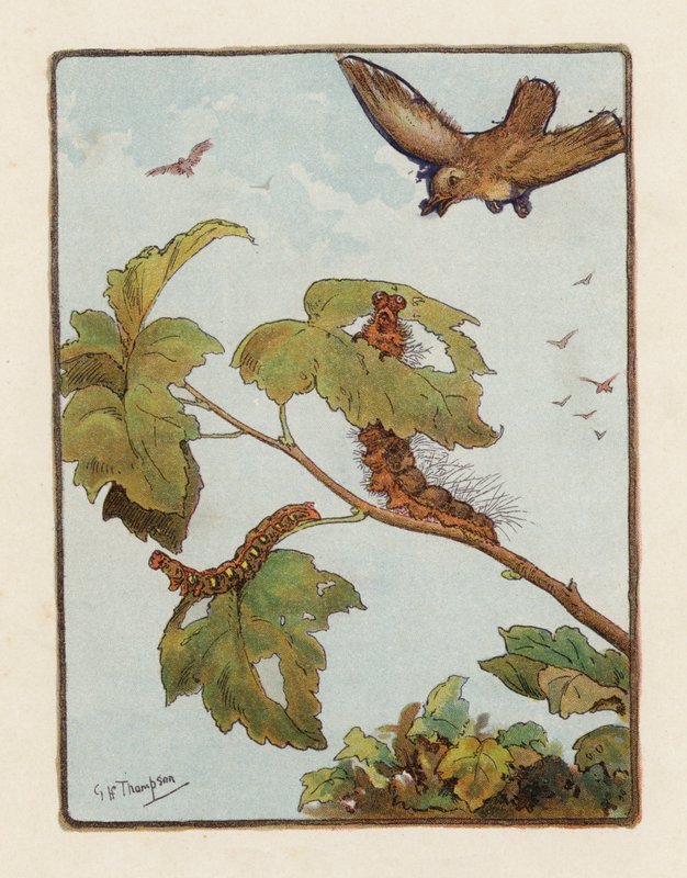 Larven (färglitografi) av George Henry Thompson