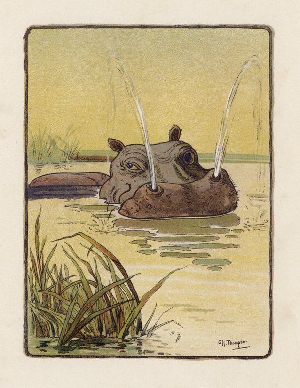 Hippopotamus (färglitografi) av George Henry Thompson